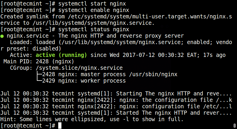Start-and-Enable-Nginx-at-Boot.png