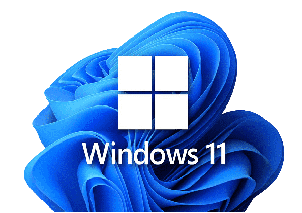 windows 10 pro india